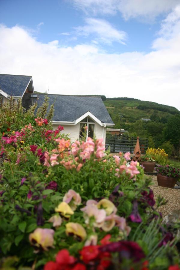 Wicklow Way Lodge Ngoại thất bức ảnh