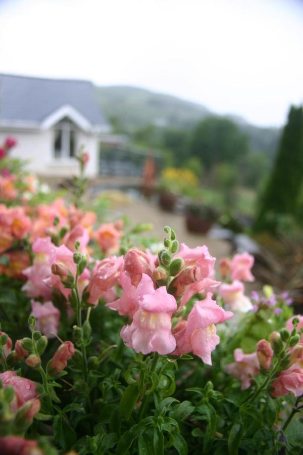 Wicklow Way Lodge Ngoại thất bức ảnh