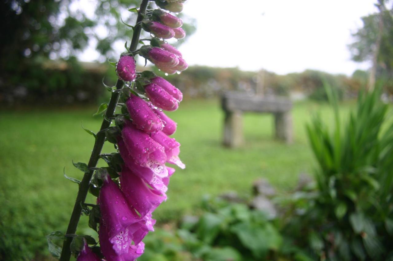 Wicklow Way Lodge Ngoại thất bức ảnh
